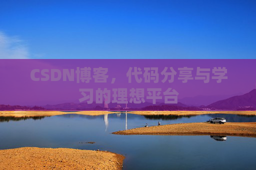 CSDN博客，代码分享与学习的理想平台